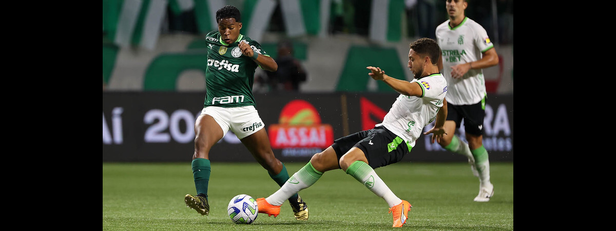 Foto Palmeiras Campeão Brasileiro 2023 Palmeiras X Fluminense Pode