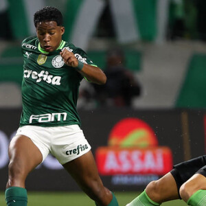 Palmeiras campeão Brasileiro 2023? Palmeiras x Fluminense pode decretar o título alviverde caso a equipe de São Paulo vença e Botafogo, Atlético-MG e Flamengo não vençam