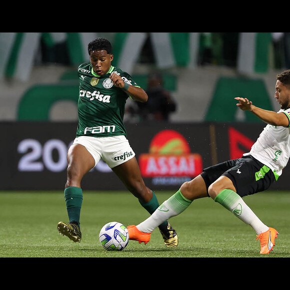 Palmeiras campeão Brasileiro 2023? Palmeiras x Fluminense pode decretar o título alviverde caso a equipe de São Paulo vença e Botafogo, Atlético-MG e Flamengo não vençam