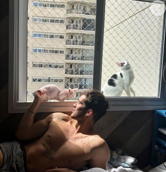 João Guilheme brinca com seus gatos e chama atenção por estar só de cueca