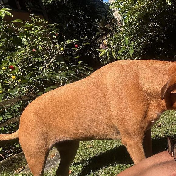 Marcello Novaes, que viveu Max em 'Avenida Brasil', está atualmente com 61 anos