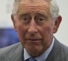 'Rei Charles III não tem simpatia por doenças triviais e enfrenta seus próprios problemas de sinusite dormindo em uma tenda de oxigênio', explicou autora