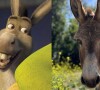 Burro Perry, que inspirou o personagem icônico e melhor amigo de Shrek, está mal de saúde