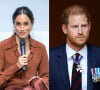 As polêmicas envolvendo a Família Real e os membros, como Meghan Markle, Príncipe Harry e Príncipe William não param.