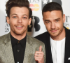 'Se o Bear precisar de mim, serei...': após a morte de Liam Payne, Louis Tomlinson escreve carta que vai te levar às lágrimas