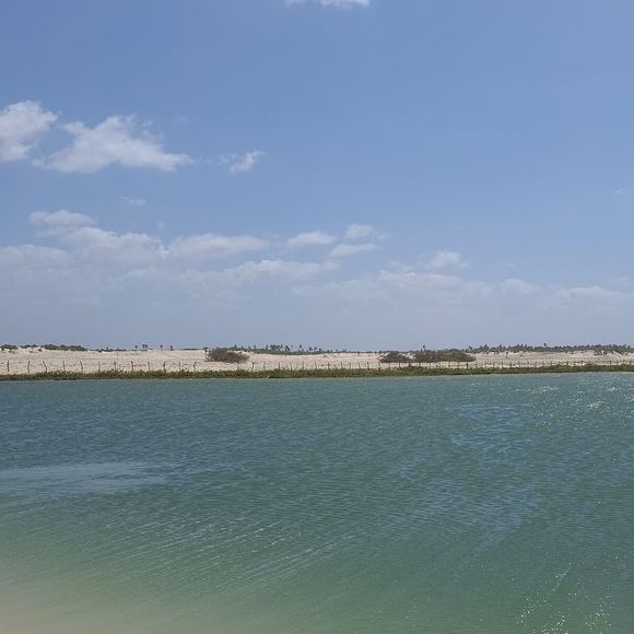 Alessandra Negrini deixou seus fãs encantados com essa foto apenas de biquíni, valorizando seu corpo definido