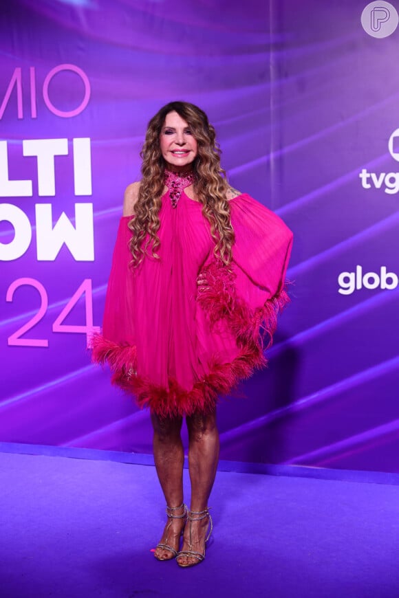 Prêmio Multishow 2024: Elba Ramalho apostou em um vestido rosa com plumas nas mangas