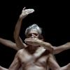 Caetano Veloso divulga novo clipe
