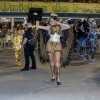 Ellen Rocche desfila pela Rosas de Ouro, terceira colocada das escolas de samba de São Paulo, em 20 de fevereiro de 2015