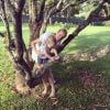 Olha Ana Hickmann dando uma mãozinha para o filho aprender a subir em árvore?