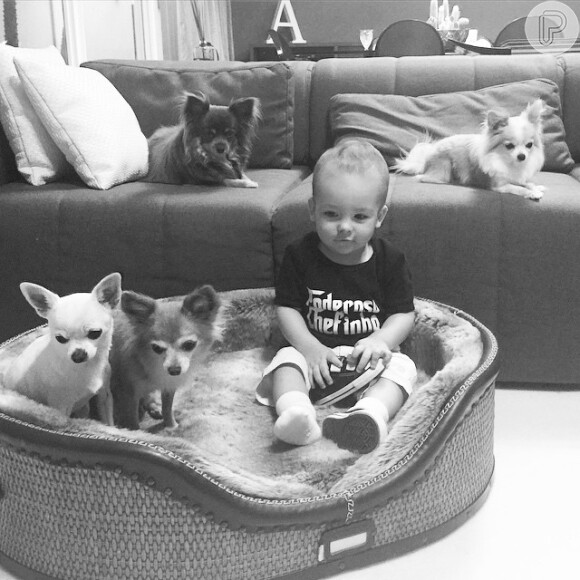 Alexandre se diverte com os pets da família e invade a caminha dos cachorrinhos