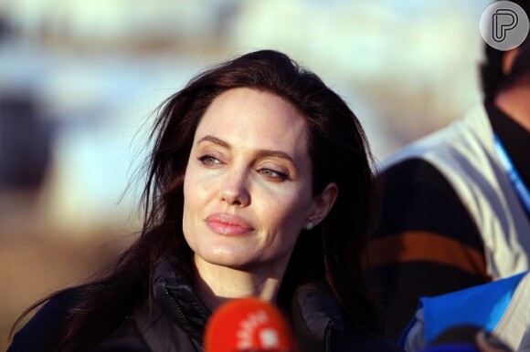 Recentemente, Angelina Jolie retirou os ovários e as trompas como uma tentativa de evitar o câncer