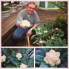 Gugu Liberato mostra as couves-for que ele planta em casa aos seguidores do Instagram