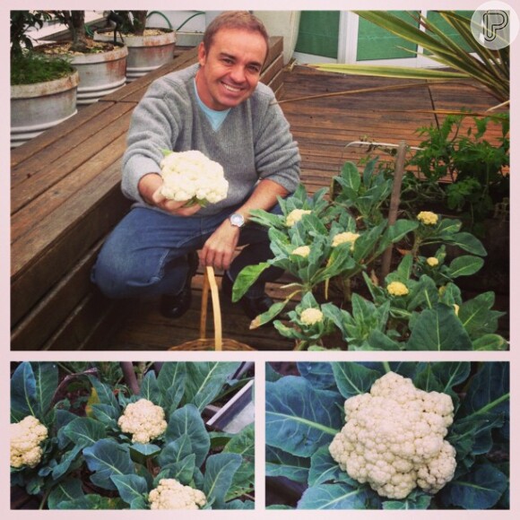 Gugu Liberato mostra as couves-for que ele planta em casa aos seguidores do Instagram