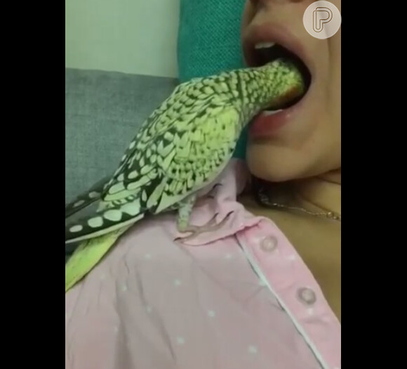Bruna Marquezine recebe limpeza nos dentes feita por sua passarinha Nikki