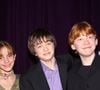 Como estão os atores de 'Harry Potter' hoje? Após 23 anos do 1º longa-metragem, filme vira série e ganha os primeiros nomes no elenco
