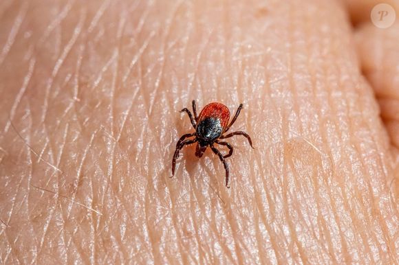 Existem pessoas que se alimentam do seu entusiasmo e da sua vontade de seguir em frente, assim como um carrapato