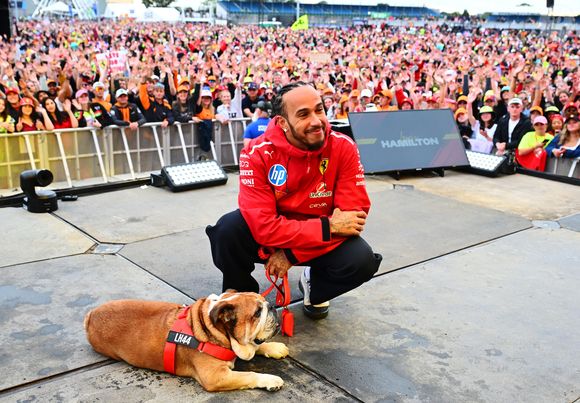 Companheiro inseparável desde 2013, Roscoe já é considerado celebridade no paddock da Fórmula 1
