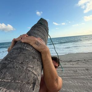 Na 3ª foto publicada por João Guilherme, ele aparece por baixo, segurando o tronco da árvore.