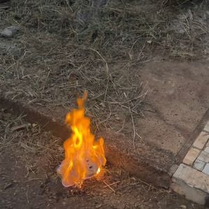 A decisão de Kelly Danese de destruir o boneco Labubu dividiu opiniões nas redes sociais. Enquanto alguns seguidores apoiaram a atitude baseada na fé, outros destacaram que o personagem é apenas um item colecionável que virou febre mundial