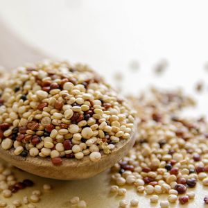 Quinoa ajuda no fortalecimento dos ossos e do sistema imunológico, inclusive na prevenção da osteoporose