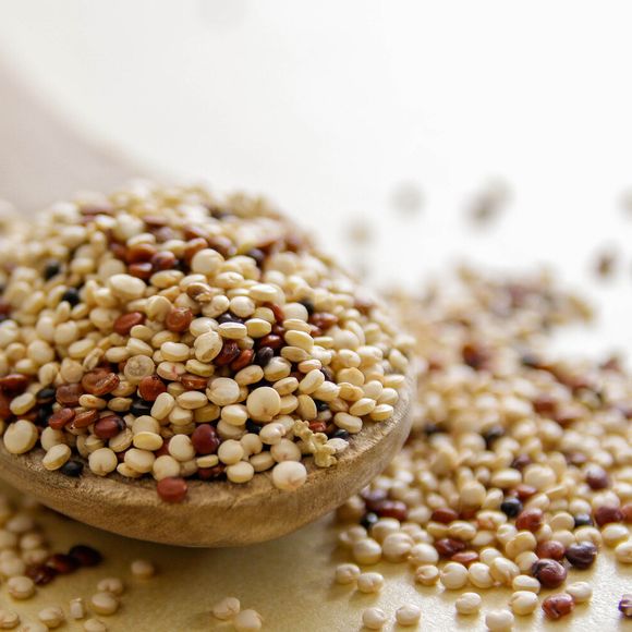 Quinoa ajuda no fortalecimento dos ossos e do sistema imunológico, inclusive na prevenção da osteoporose