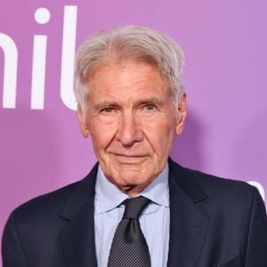 Harrison Ford é um dos maiores atores de Hollywood e encantou o público com filmes de sucesso, especialmente a saga 'Indiana Jones'