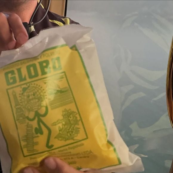 Dua Lipa comeu biscoito Globo