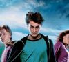 Qual é a casa de Anitta no universo de Harry Potter? Fãs questionam cantora