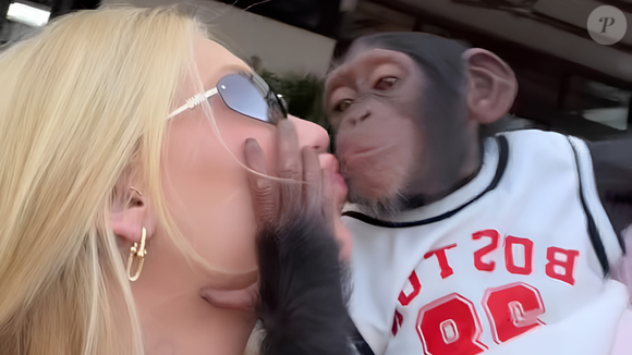 O vídeo de Virgínia Fonseca beijando um macaco em Dubai segue repercutindo nas redes sociais. Carla Akotirene comentou a polêmica e associou o caso a racismo recreativo