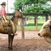 Há 16 anos, esse destaque de novela da Globo enfrentou câncer, deixou 70 filhos e faleceu após 6 meses de luta