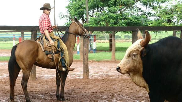 Há 16 anos, esse destaque de novela da Globo enfrentou câncer, deixou 70 filhos e faleceu após 6 meses de luta