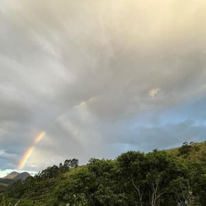 Embora fique no Rio quando está gravando novelas, Marcos Palmeira tem sua fazenda como verdadeiro lar