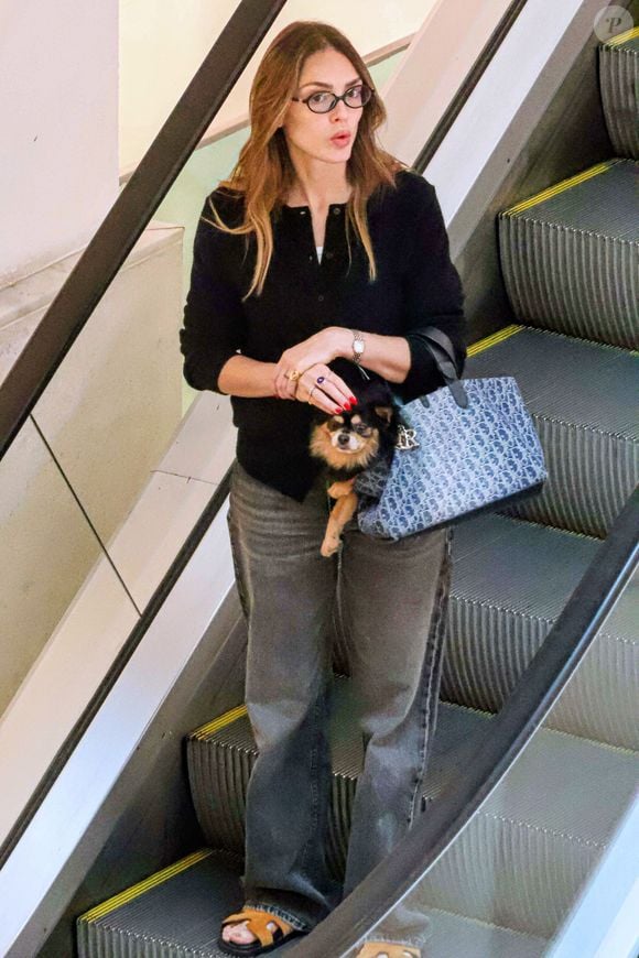 Intérprete de Naiane Amaral em "Coração Acelerado", Isabelle Drummond chamou atenção ao surgir com uma bolsa Dior de alto valor durante um passeio no Rio. O acessório serviu ainda como transporte para o cachorro de estimação da atriz