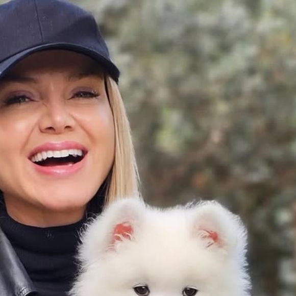 Eliana causa polêmica ao posar com novo cachorro que custa até R$ 8 mil, e dispara após ser detonada por internautas: 'Posso te indicar caso...'