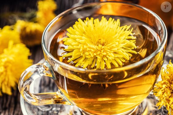 Chá de dente-de-leão também ajuda na retenção de líquidos e no funcionamento do intestino, aliviando a constipação e favorecendo a digestão