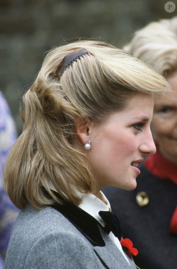 Presilha de cabelo: acessório era hit dos anos 90 e foi usado pela Princesa Diana