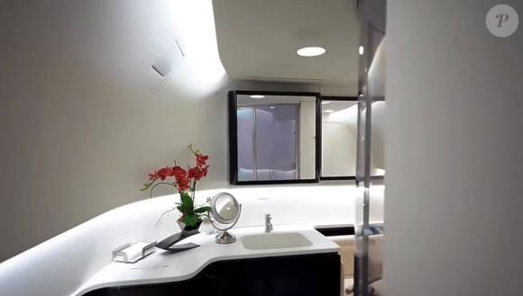 Aeronave comercial adaptada para uso executivo integra a frota pessoal do ator