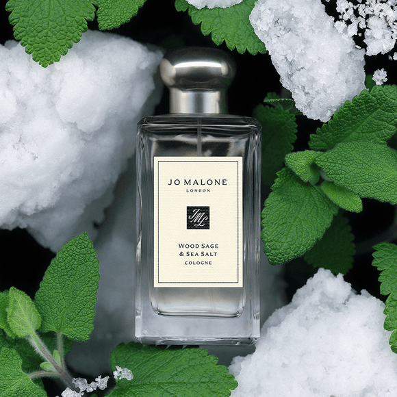 Com uma combinação de notas salgadas, minerais e amadeiradas, o Wood Sage & Sea Salt, da Jo Malone, remete à sensação de pele depois de um banho em uma casa de praia. A fragrância apresenta uma proposta arejada e natural para quem deseja se perfumar sem invadir o ambiente