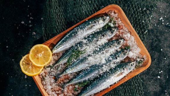 Uma lata de sardinhas se transforma em um aperitivo digno de restaurante em menos de 10 minutos: fácil, rápido, barato e a Taís Araujo adora!