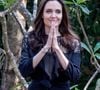 Angelina Jolie se apaixonou pelo Camboja quando gravou 'Tomb Raider' no país no início dos anos 2000 e, em 2023, comprou uma floresta gigantesca no local