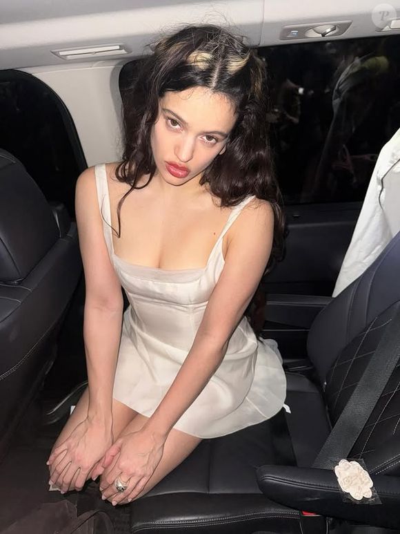 A combinação de todos esses alimentos transforma o café da manhã de Rosalía em uma refeição completa, saudável e energizante, ideal para quem precisa enfrentar rotinas intensas sem perda de rendimento