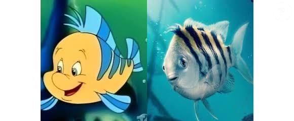 O live-action de A Pequena Sereia (2023) também teve seu momento de polêmica, especialmente com o redesign do Linguado.