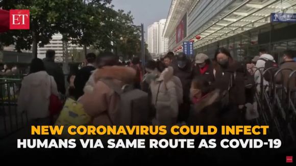 Novo coronavírus: estudo ainda não sabe assegurar chance de contágio a seres humanos