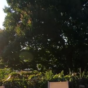 Com mais contato com a natureza, mansão de Anitta tem vista privilegiada para o Rio de Janeiro