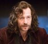 Sirius Black em 'Harry Potter', Gary Oldman, hoje aos 68 anos, acredita que a série vai superar os filmes: 'Será mais gratificante'
