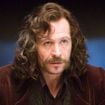 Sirius Black em 'Harry Potter', Gary Oldman, hoje aos 68 anos, acredita que a série vai superar os filmes: 'Será mais gratificante'