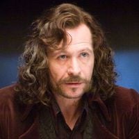 Sirius Black em 'Harry Potter', Gary Oldman, hoje aos 68 anos, acredita que a série vai superar os filmes: 'Será mais gratificante'
