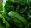 O espinafre é uma hortaliça rica em fibras e perfeita para manter a saúde intestinal em dia