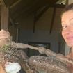 'Ainda sinto os resultados': dieta para ansiedade e depressão mudou a vida de Gisele Bündchen; modelo não podia comer feijão, frutas e nem legumes coloridos